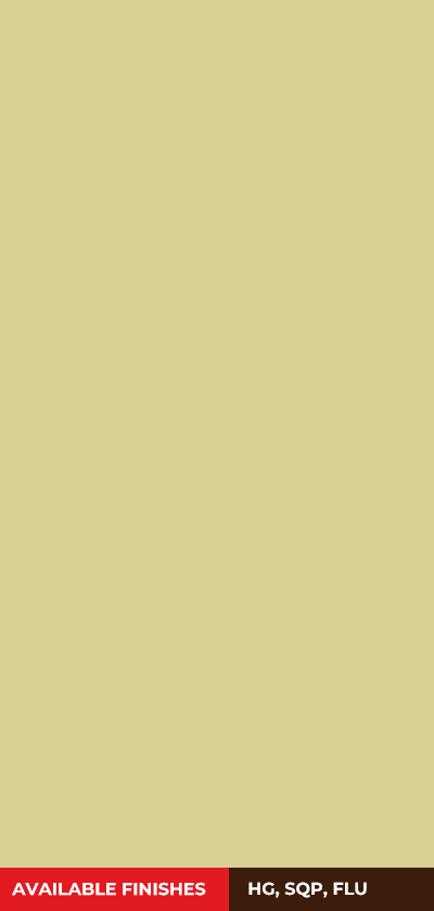 BEIGE (533